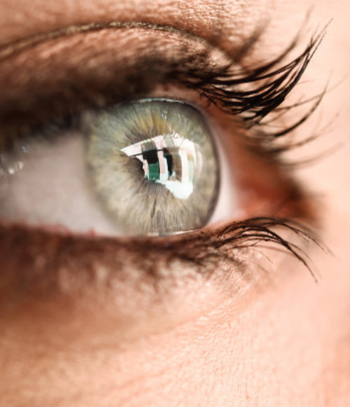 Rose Mari Thiesen Maquiagem Definitiva